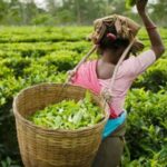 ரூ. 1700 கிடைக்குமா? இன்று நடைபெற்ற பேச்சு தோல்வி!