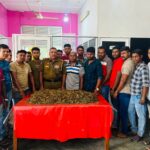 யாழில் 15 கிலோ கஞ்சாவுடன் ஒருவர் கைது!