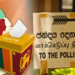 யானை, மொட்டு, கை, சேவல், குதிரை, வீணை ஓரணியில் – புதிய கூட்டணிக்கான பேச்சு ஆரம்பம்!