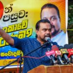 நாங்கள் சிங்கங்கள் – பன்றிகளுடன் கூட்டணிக்கு தயாரில்லை!