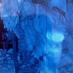 நுவரெலியாவில் பழங்களை களவாடியவருக்கு விளக்கமறியல்!