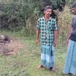 மேய்ச்சல் தரையை மீட்கும் தமிழ் பண்ணையாளர்களின் போராட்டம் தொடர்கிறது