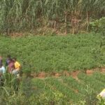 சட்டவிரோதமாக அமைக்கப்பட்ட மின் வேலியில் சிக்கி குடும்பஸ்தர் பலி – அக்கரப்பத்தனையில் சோகம்!