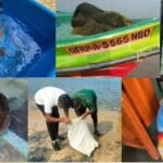 அரிய வகை ஆமையுடன் மன்னாரில் மூவர் கைது!