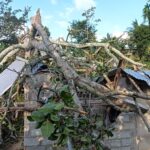 பசறையில் முறிந்து விழுந்தது இராட்சத மரம் – வீடு சேதம் – அதிஷ்டவசமாக உயிர் தப்பிய குடும்பம்