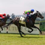 நுவரெலியாவில் குதிரை ஓட்டப்போட்டி!