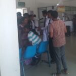 பசறையில் குளவிக்கொட்டு – பல மாணவர்கள் பாதிப்பு!