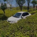 குறுக்கே பாய்ந்தது நாய்: கொட்டகலையில் விபத்துக்குள்ளானது கார்!
