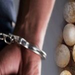 153 ஆமை முட்டைகளுடன் ஒருவர் கைது!
