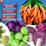 நுவரெலியாவில் மரக்கறி விலை வீழ்ச்சி!