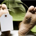 குடும்பப் பெண் கழுத்து நெரித்துப் படுகொலை – யாழில் கொடூரம்