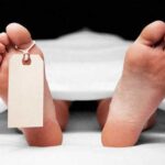 பதுளையில் விபத்து: தம்பதியினர் உயிரிழப்பு