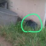 கொங்கிரீட் வளையத்தில் சிக்கி மாணவன் பலி: முழுமையான விசாரணைக்கு பணிப்பு!