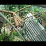 ஹைபொரஸ்ட்டில் மரங்கள் முறிந்து விழும் அபாயம் : 162 பேர் இடம்பெயர்வு