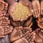 பெருந்தோட்ட பகுதிகளில் உணவு பாதுகாப்பின்மை அதிகரிப்பு