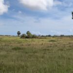 வடக்கில் பல வடிவங்களில் தொடரும் காணி பிரச்சினை