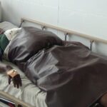 பொகவந்தலாவையில் குளவிக்கொட்டு: 8 பேர் பாதிப்பு