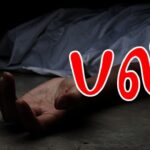 குளவிக்கொட்டுக்கு இலக்காகி பெண் பலி!