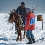 கடும் பனிப்பொழிவால் 7.1 மில்லியனுக்கும் அதிகமான கால்நடைகள் உயிரிழப்பு