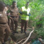 மரக்கிளை முறிந்து விழுந்து நபரொருபர் பலி