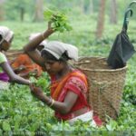 ரூ. 1700 வெளியானது வர்த்தமானி: உறுதியானது சம்பள உயர்வு!