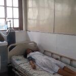 குளவிக்கொட்டு: பொகவந்தலாவையில் 8 மாணவர்கள் பாதிப்பு