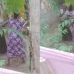 மாமியாரை தாக்கிய மருமகள் கைது!