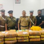 யாழில் வீடொன்றிலிருந்து 87 கிலோ கஞ்சா மீட்பு!