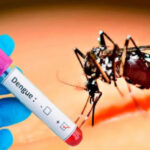 7 நாட்களுக்குள் 773 பேருக்கு டெங்கு!