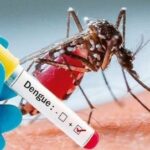 டெங்கு நோயால் 13 பேர் பலி!