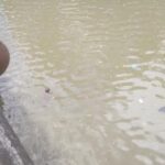 மேல்கொத்மலை நீர்த்தேக்கத்தில் சடலம் மிதப்பு