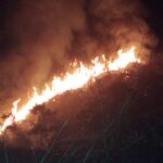 காட்டுத் தீ: 2 ஏக்கர் நாசம்!