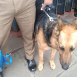 ஹட்டன் நகரில் கடைக்குள் புகுந்து கொள்ளை!