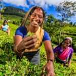 அடிப்படை நாள் சம்பளம் 35 வீதத்தால் அதிகரிப்பு: ஜனாதிபதிக்கும், காங்கிரசுக்கும் தொழிலாளர்கள் நன்றி தெரிவிப்பு