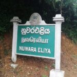 நுவரெலியா மாவட்டத்தில் 532 வாக்களிப்பு நிலையங்கள்