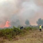 பெருவில் பயங்கர காட்டுத்தீ: 15 பேர் பலி