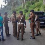 மரத்திலிருந்து விழுந்து இளம் குடும்பஸ்தர் பலி: தலவாக்கலை பொலிஸ் பிரிவில் சம்பவம்