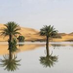 50 வருடங்களுக்கு பிறகு சஹாரா பாலைவனத்தில் வெள்ளம்!