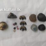 பசறையில் புதையல் தோண்டிய இருவர் கைது!