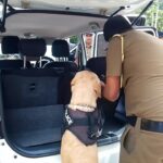 பதுளையிலிருந்து நுவரெலியாவுக்கு விருந்துக்கு வந்த இளைஞர்கள் போதைப்பொருளுடன் கைது!