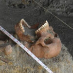 பாரிய மனித புதைகுழி குறித்த விசாரணை அறிக்கையை சமர்ப்பிக்க நடவடிக்கை