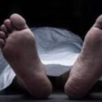 மின்சாரம் தாக்கி முதியவர் பலி!