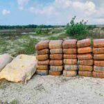 80 கிலோ கஞ்சா பூநகரியில் மீட்பு