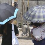 2024-ல் கூடுதலாக 41 நாட்கள் அதிக வெப்பம் பதிவு!