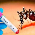 டெங்கு நோயாளர்களின் எண்ணிக்கை அதிகரிப்பு