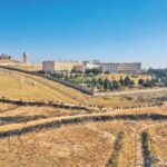 அஷாத்தின் கொடூர ஆட்சியை பறைசாற்றும் நிலவறைச் சிறைச்சாலை