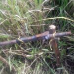 கட்டுத் துப்பாக்கி வெடித்ததில் பொலிஸ் அதிகாரி காயம்