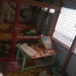 யாழில் கரை ஒதுங்கிய மர்ம வீடு!