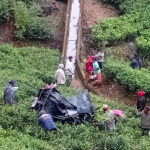 லபுக்கலையில் ஆட்டோ விபத்து: மூவர் காயம்!