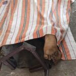 ரயில் மோதி நபரொருவர் பலி!